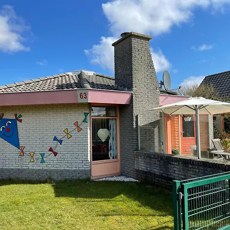 Zeester 063 Julianadorp